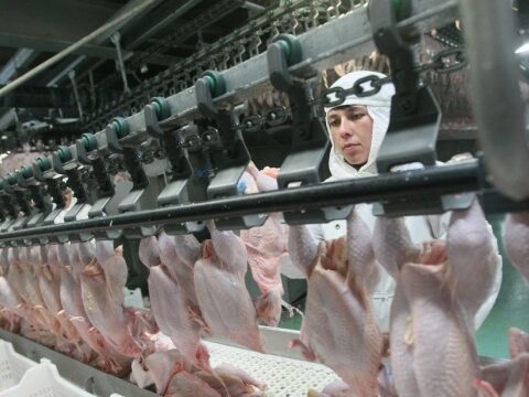 Экспорт украинского мяса птицы стал фактором устойчивости продовольственных рынков ЕС