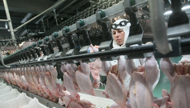 Экспорт украинского мяса птицы стал фактором устойчивости продовольственных рынков ЕС