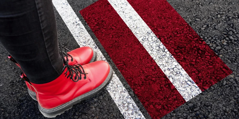 Комиссия Сейма отклонила народную инициативу о высылке нелояльных лиц