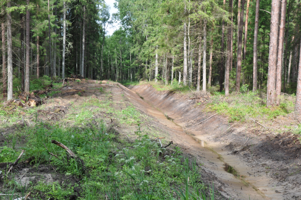 Ковид и война в Украине затрудняют мелиорацию в Латвии