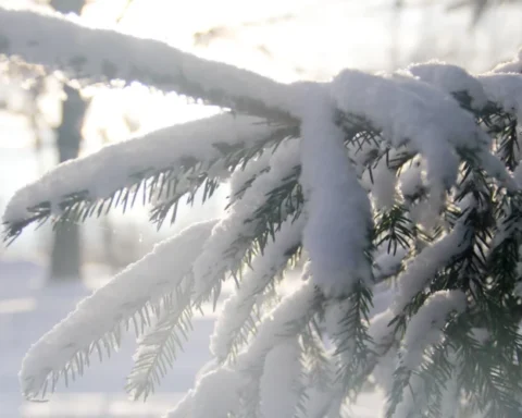 Латгале ожидает сильный мороз: ночью до -20 градусов, днем -3...-9 градусов