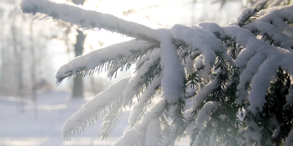 Латгале ожидает сильный мороз: ночью до -20 градусов, днем -3...-9 градусов