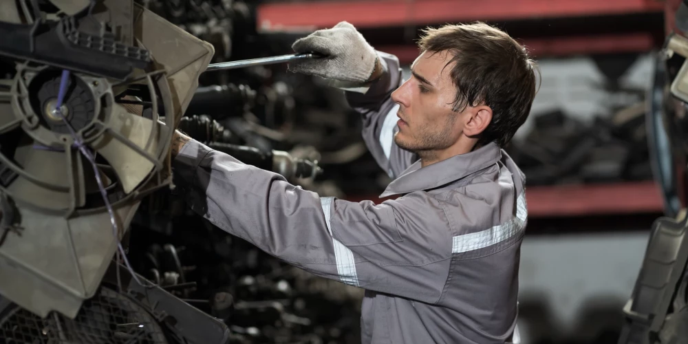 Молодежь стремится к творчеству, бизнес – к рабочим кадрам: латвийский рынок труда в противоречии