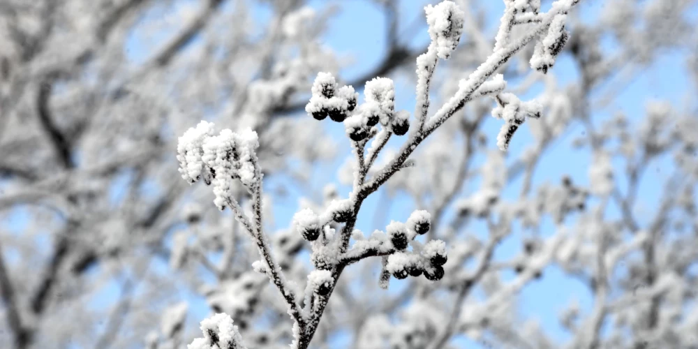 Морозы до -12 и усиление ветра ожидаются в Латвии на середину недели