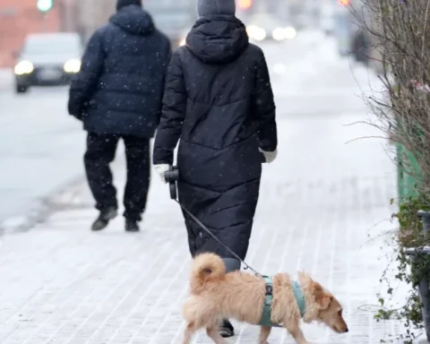 Морозы и снегопады ожидаются в Латвии с воскресенья