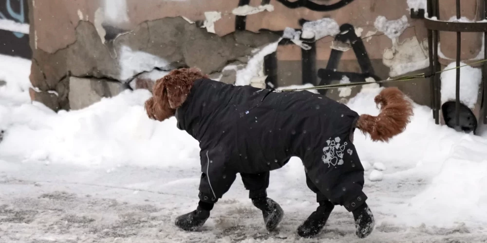 Морозы усиливаются: в Латвии температура опустится до -20 градусов