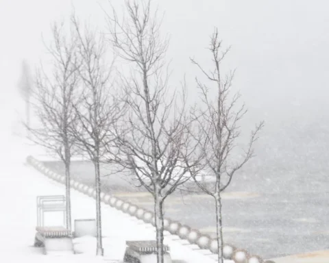 Мощный снегопад ожидается в Латвии в первый день нового года