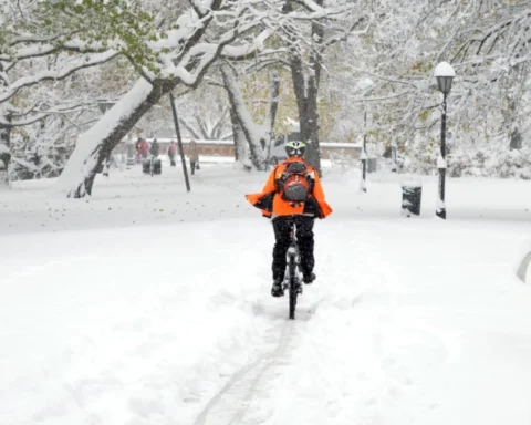 На западе Латвии объявлено желтое предупреждение из-за сильного снегопада