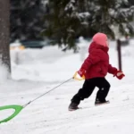 Полиция Латвии предупреждает о смертельной опасности зимнего развлечения
