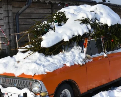 Прогноз погоды в Латвии: морозы до -30 градусов не ожидаются, рассказал метеоролог Том Брицис