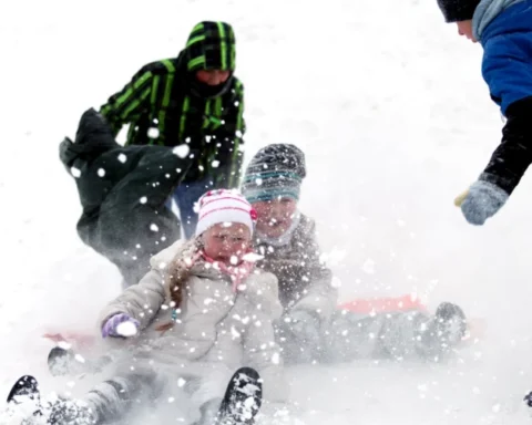 PTAC призывает Рижскую думу принять меры по безопасности горки в Дрейлинькалнсе