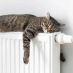 Рига рассматривает временные меры для неплательщиков по счетам за отопление