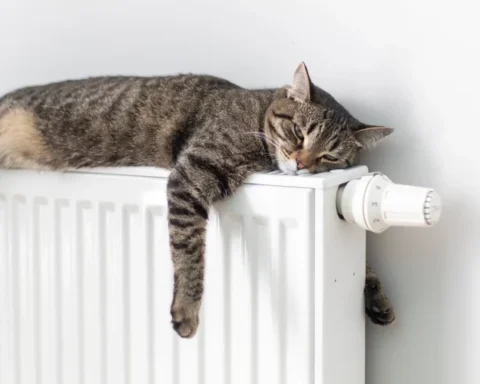 Рига рассматривает временные меры для неплательщиков по счетам за отопление