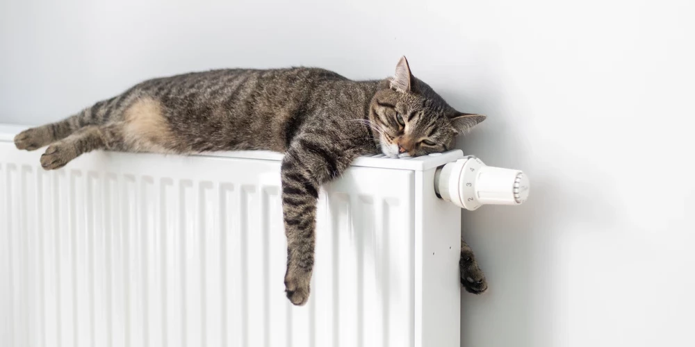 Рига рассматривает временные меры для неплательщиков по счетам за отопление