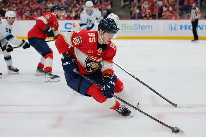 Сандис Вилманис забросил свою первую шайбу в НХЛ в матче против "Юта Маммот"