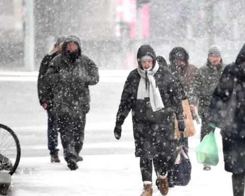 Сейм поддержал поправки об аннулировании ВНЖ при трёх административных нарушениях за год