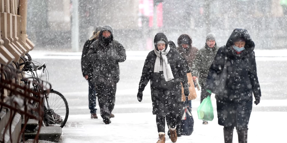 Сейм поддержал поправки об аннулировании ВНЖ при трёх административных нарушениях за год