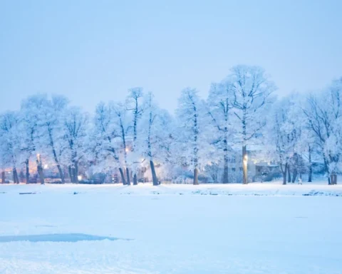 Середина января в Латвии: осадков всего 12% от нормы