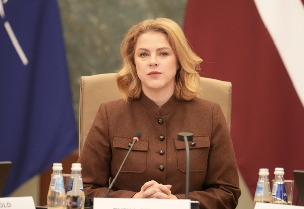 Силиня поддержала заявление европейских стран против тарифов Трампа на Гренландию