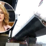 Силиня требовала ответственности за недостроенный мост Rail Baltica через Даугаву