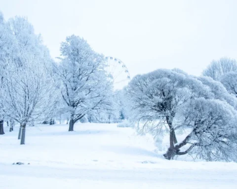 Сильный мороз ожидается в центре и востоке Латвии: ночью до -23 градусов