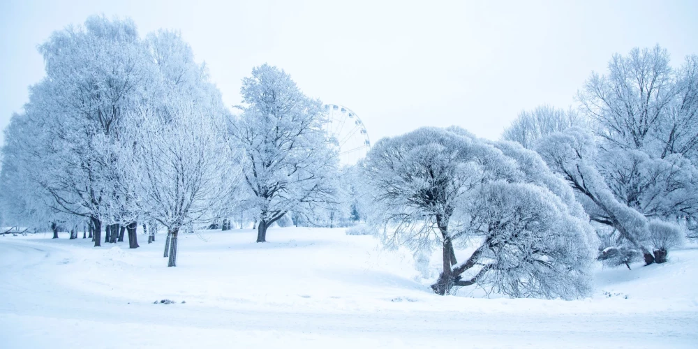 Сильный мороз ожидается в центре и востоке Латвии: ночью до -23 градусов