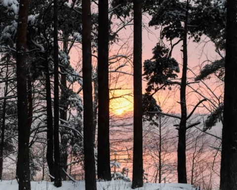 Солнечная и морозная погода в Латвии: температура до -14 градусов