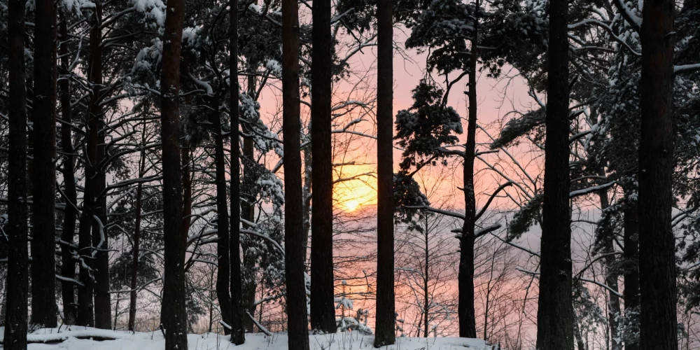 Солнечная и морозная погода в Латвии: температура до -14 градусов