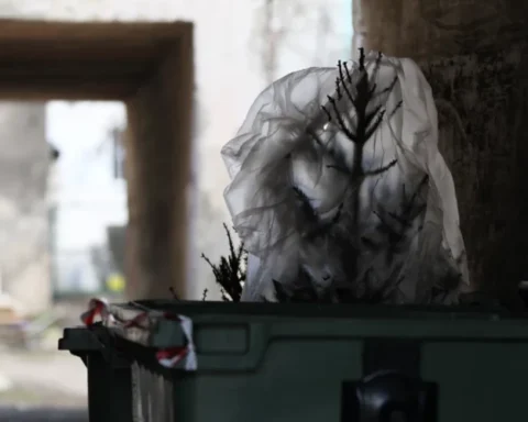 Спасатели и медики реагируют на ложные вызовы из-за "мертвых" елок в Огре