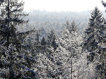 Температура в Латвии колеблется от -7 до -17,5 градусов