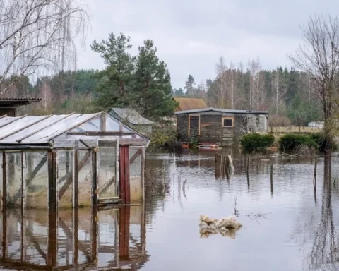 Уровень воды в Даугаве под Екабпилсом резко вырос, жители опасаются паводка