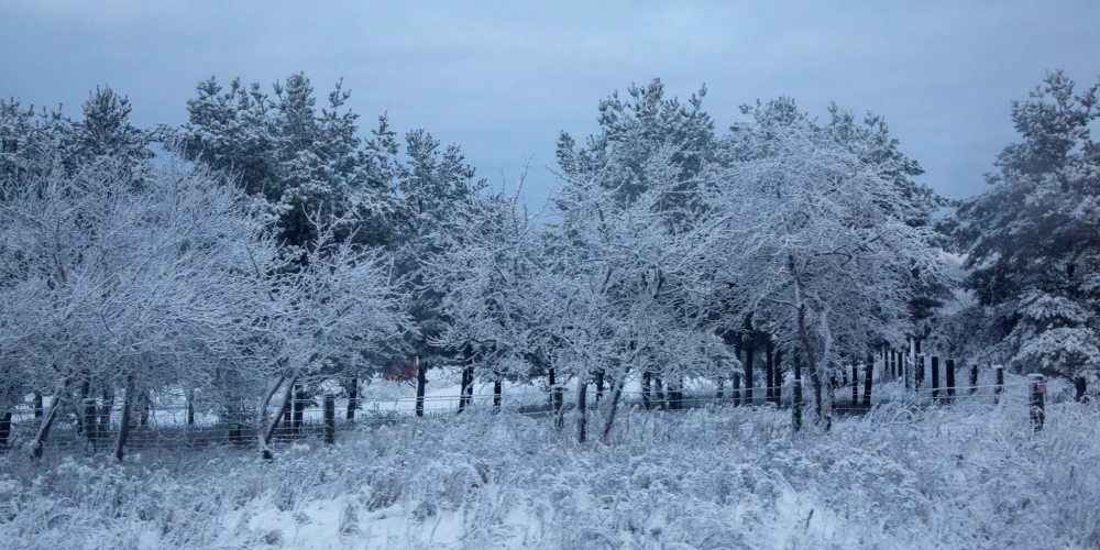В четверг в Латвии ожидается небольшой снег и облачная погода