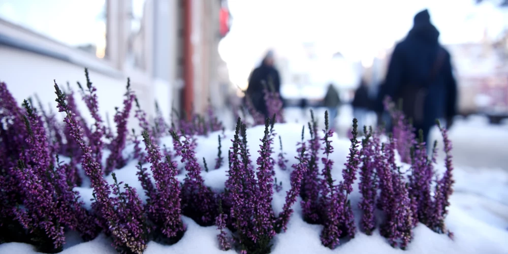 В Латвии объявлено оранжевое предупреждение из-за экстремального холода до -30°