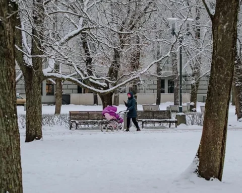 В Латвии ожидается потепление до 0 градусов, возможен снег