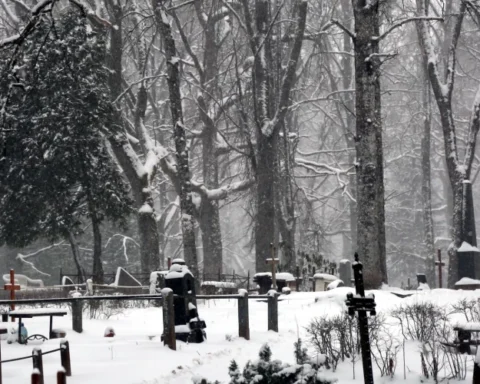 В Латвии предлагают новый способ прощания — развеивание праха на кладбищах
