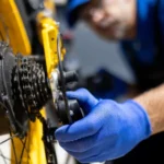 В Латвии в вакансиях начали требовать знание хинди amid изменения на рынке труда