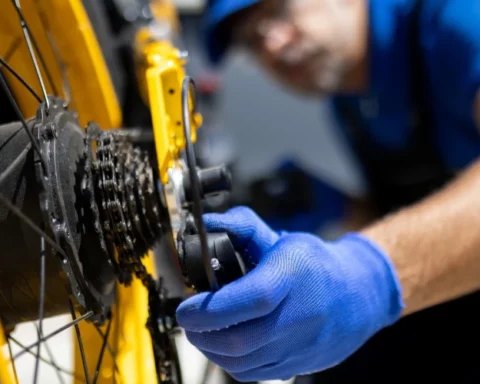 В Латвии в вакансиях начали требовать знание хинди amid изменения на рынке труда