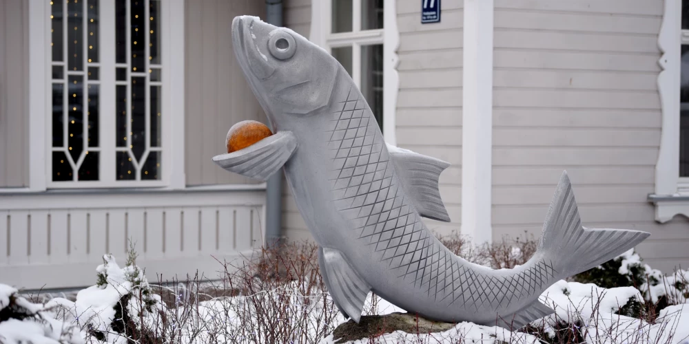 В Латвии зафиксирован мороз до -20,7 градусов: самые холодные места страны