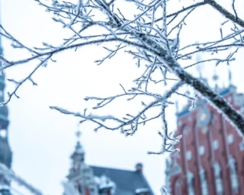 В начале февраля в Латвии ожидается температура до -30 градусов