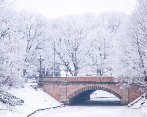 В начале выходных температура опустится до -11, местами солнечно