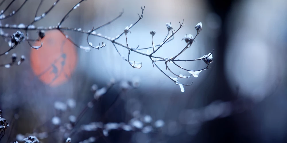 В понедельник в Латвии ожидается морозная и солнечная погода