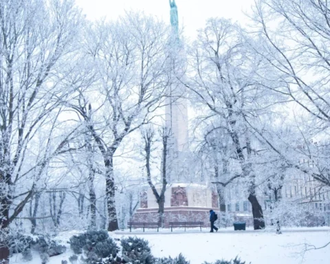 В понедельник в Латвии ожидается снег с приростом покрова на 2-4 см