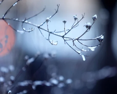 В Риге в пятницу не ожидается сильных осадков, температура -5...-10 градусов