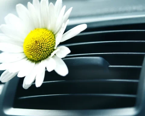 Вентспилсский край заключил контракт с SIA Electrify на закупку двух электроавтобусов