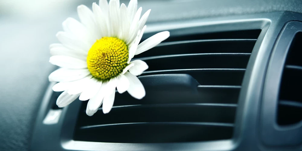 Вентспилсский край заключил контракт с SIA Electrify на закупку двух электроавтобусов