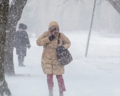 Желтое предупреждение о метели для юга Латвии: ожидается снежный покров до 10 см