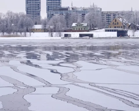 Жителей Латвии предупреждают о снегопадах и сильных ветрах в выходные