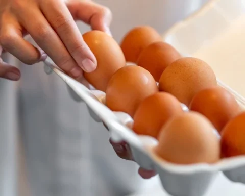 Активисты: латвийская птицефабрика нарушает правила содержания кур-несушек