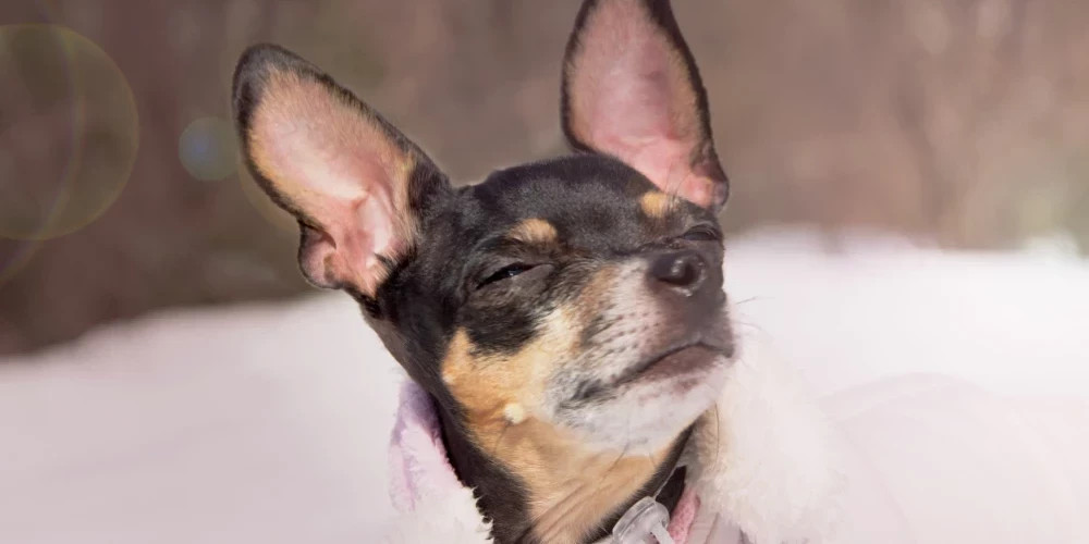 Циклон покидает Латвию: снег ночью, солнечная среда в регионах