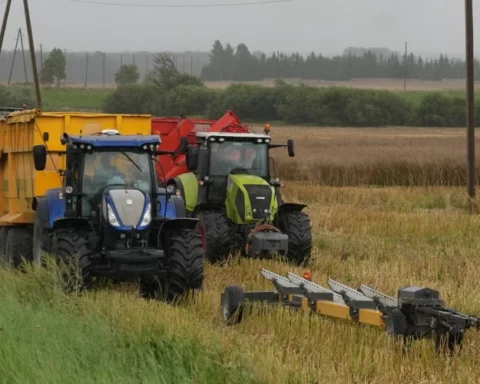 Фермеры Латвии: морозы не угрожают озимым, весна может принести риски